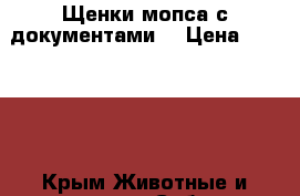 Щенки мопса с документами  › Цена ­ 12 000 - Крым Животные и растения » Собаки   